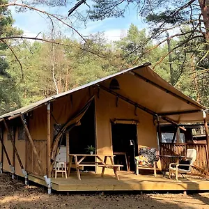 camp-bursztynowy-las.gdanskhotel.org/